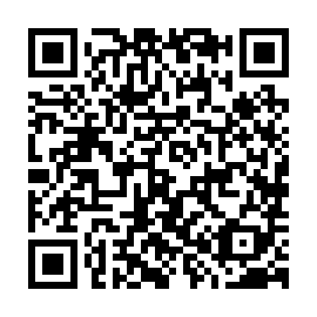 QR code for G88289