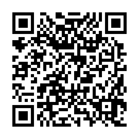 QR code for G91386