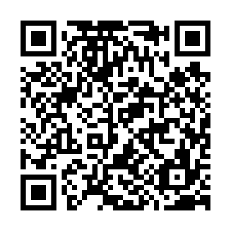 QR code for G91636