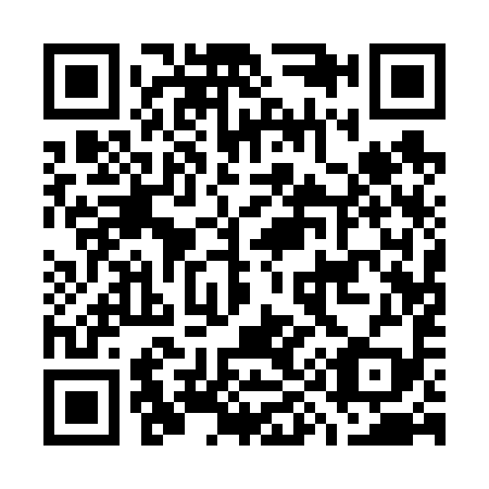 QR code for G91699
