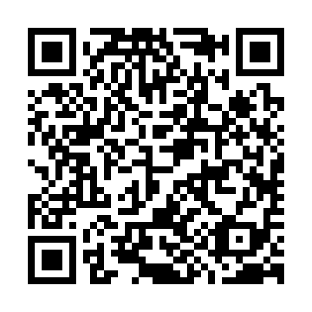 QR code for G92319
