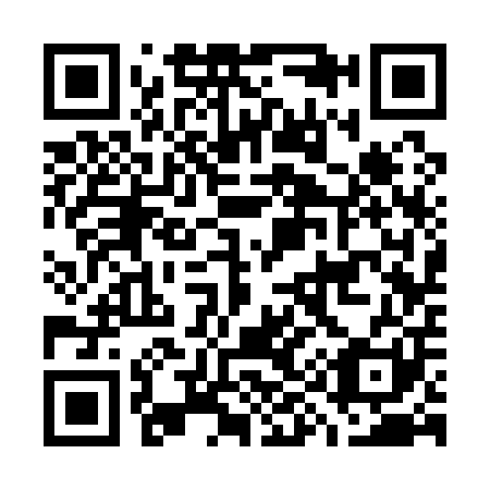 QR code for G93101
