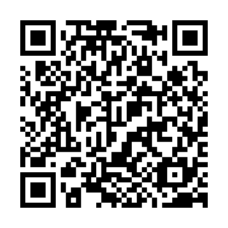 QR code for G93335