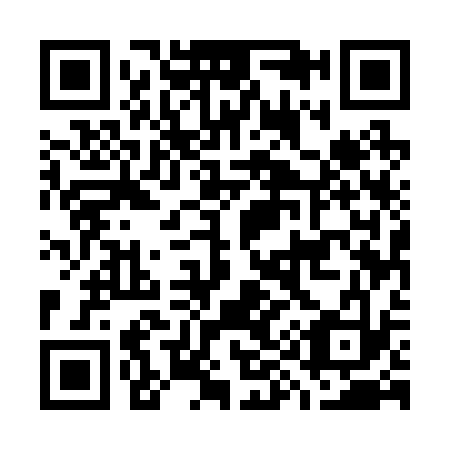 QR code for G95233