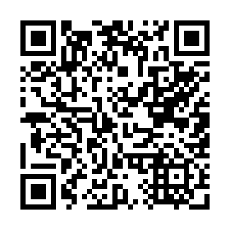 QR code for G95239