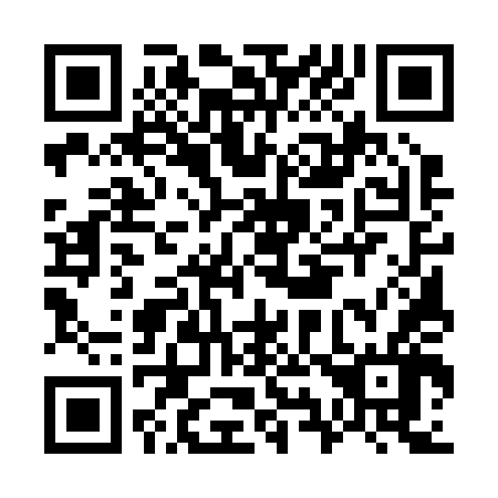 QR code for G95246