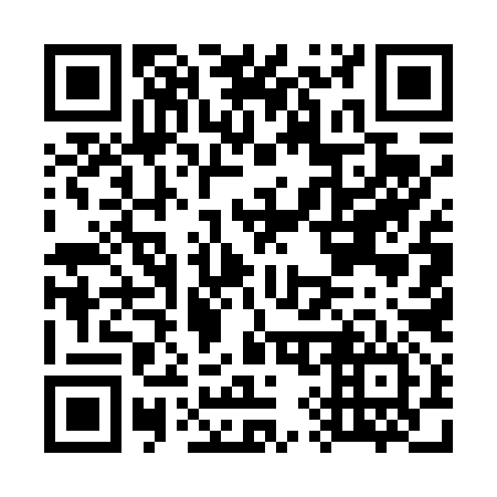 QR code for G95496