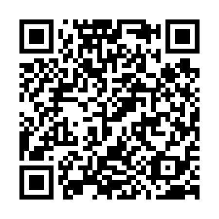 QR code for G95619