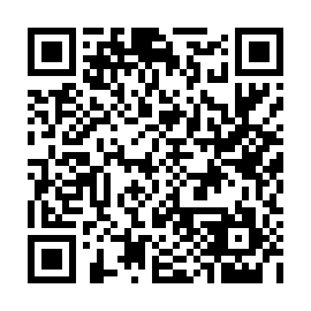 QR code for G98497