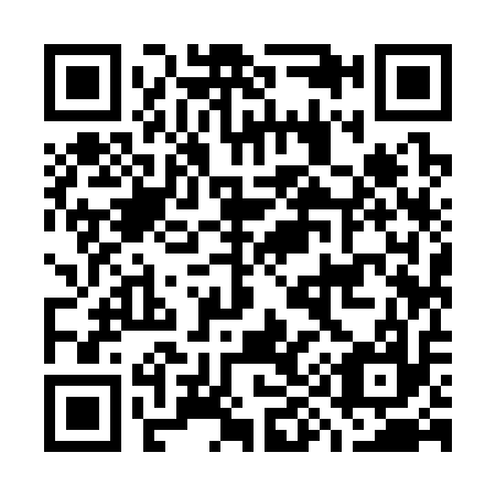 QR code for G99317