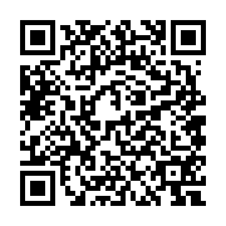 QR code for GAV-6541