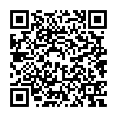 QR code for plate GCN-0313