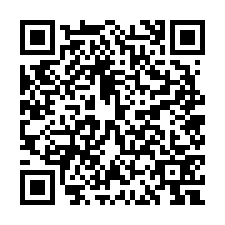 QR code for GCW-6738