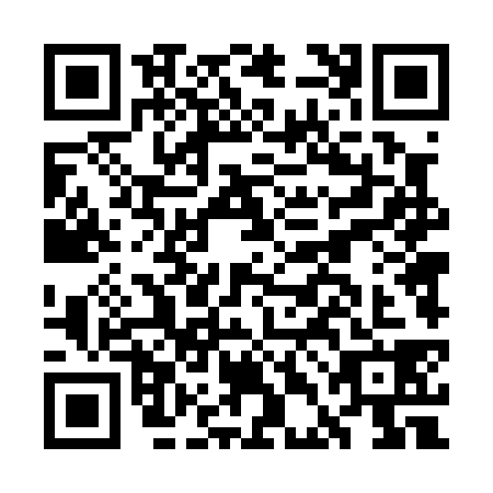 QR code for GDD-0381