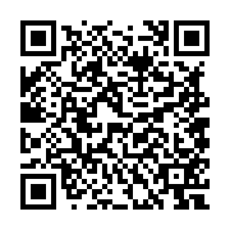QR code for plate GDF-8538