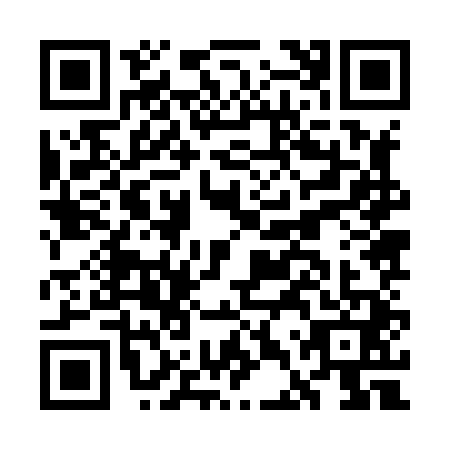 QR code for GDZ8411