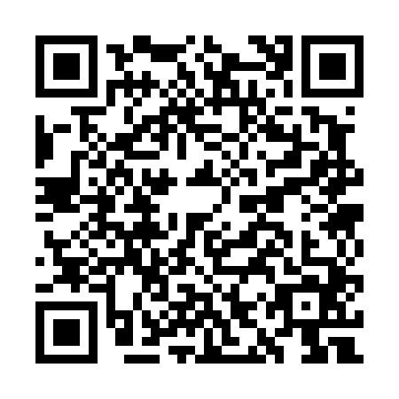 QR code for GIS-4441
