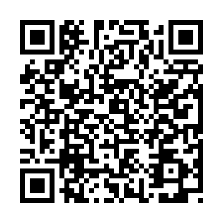 QR code for plate GIU-4828
