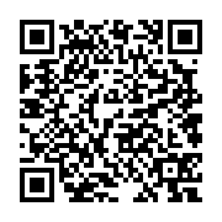 QR code for GNF-0343