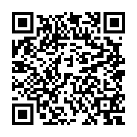 QR code for plate GNM-0503