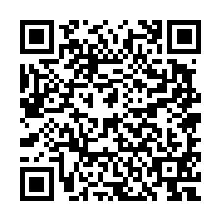 QR code for GOE-4917