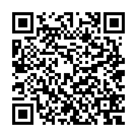 QR code for GOE-6291