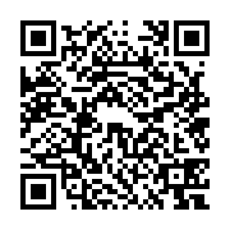 QR code for GSG-1382