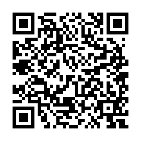 QR code for GSR-2938
