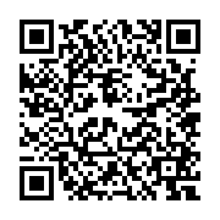 QR code for GYZ1413