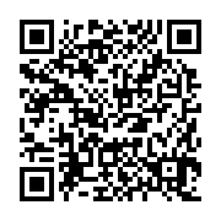 QR code for H00384