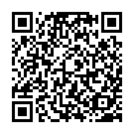 QR code for H01388