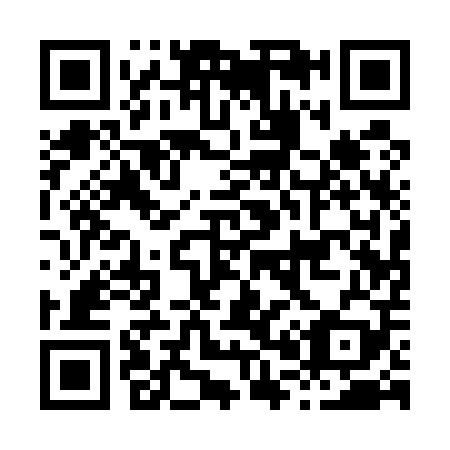 QR code for H01509