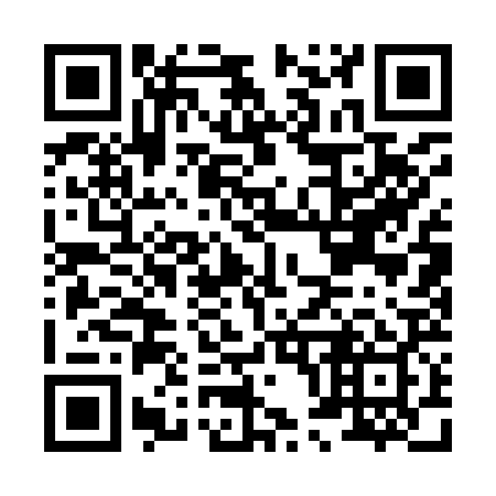 QR code for H01929