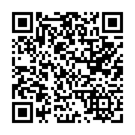 QR code for H02466