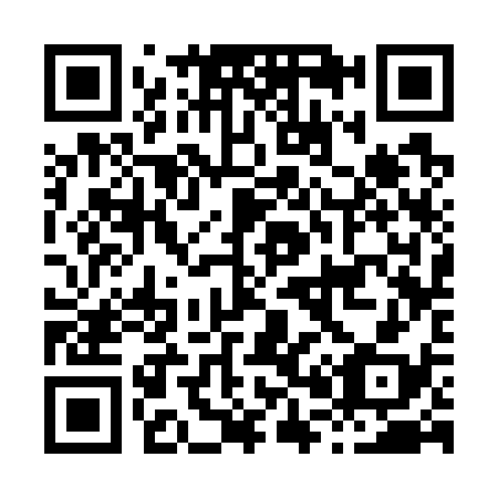 QR code for H03738