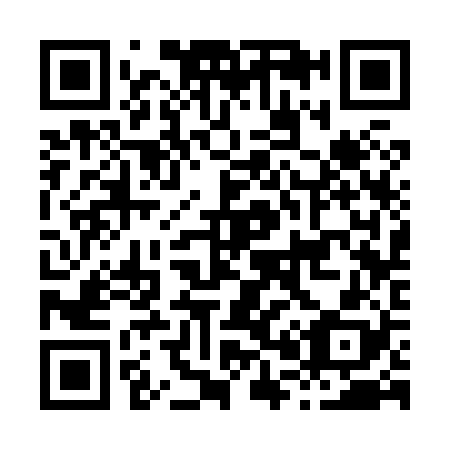 QR code for H03828