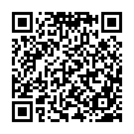 QR code for H04166