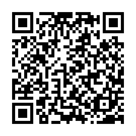 QR code for H04203