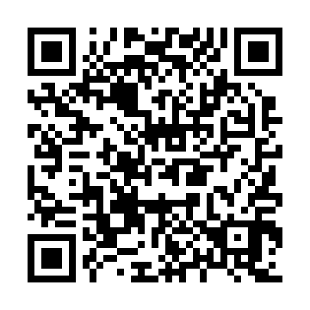QR code for H04210