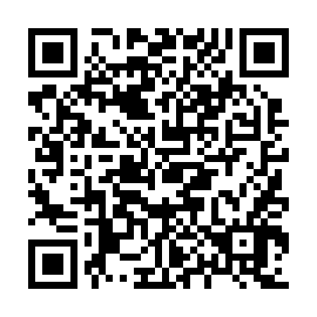 QR code for H04246