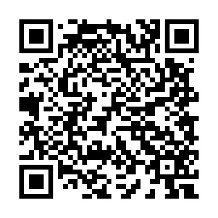 QR code for H04556