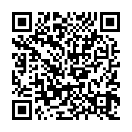 QR code for H04809