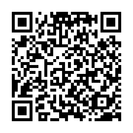 QR code for H06238