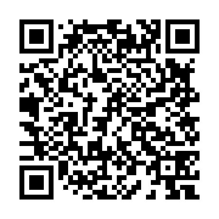 QR code for H07878