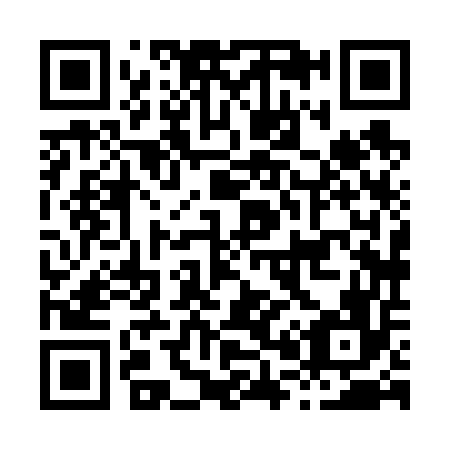 QR code for H08656