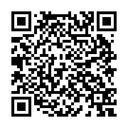 QR code for H09233