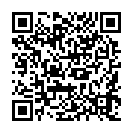QR code for H09399