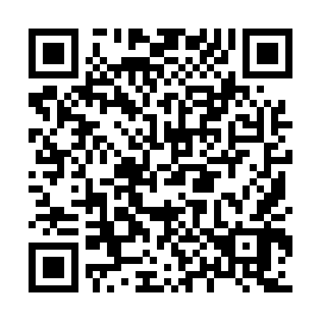 QR code for H09542