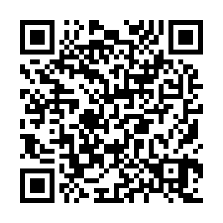 QR code for H09920