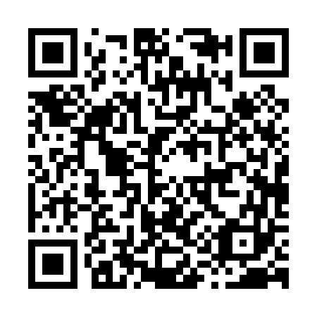 QR code for H10063
